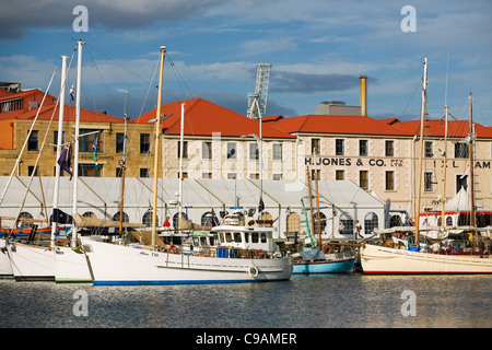 Barche da pesca in Victoria Dock, con architettura coloniale di Hunter Street in background. Hobart, Tasmania, Australia Foto Stock