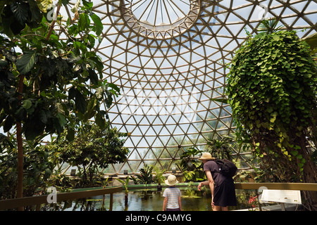 I visitatori nella cupola tropicale di Brisbane Botanic Gardens. Brisbane, Queensland, Australia Foto Stock