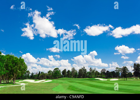 Sunny golf green con nubi sparse su un cielo blu e foresta Foto Stock