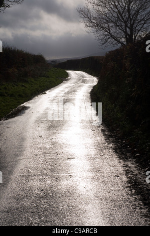 Asfalto umido Dartmoor road, retroilluminazione, retroilluminato, colore, paese, campagna, scuro, Diagonal, direzione, dividendo, vuota Foto Stock