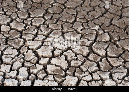 Cracking secco terreno argilloso pattern. Andhra Pradesh, India. Foto Stock