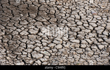 Cracking secco terreno argilloso pattern. Andhra Pradesh, India. Foto Stock