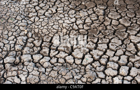 Cracking secco terreno argilloso pattern. Andhra Pradesh, India. Foto Stock