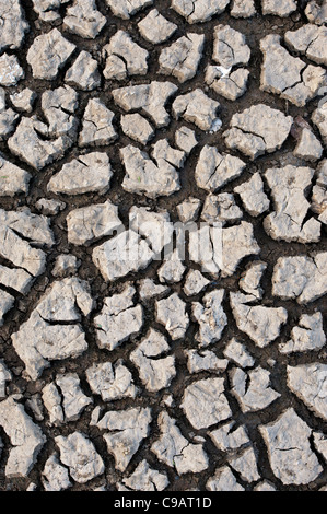 Cracking secco terreno argilloso pattern. Andhra Pradesh, India. Foto Stock