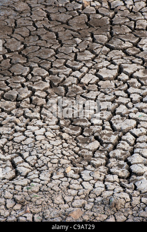 Cracking secco terreno argilloso pattern. Andhra Pradesh, India. Foto Stock