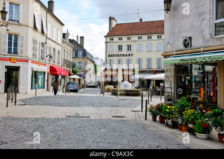 Beaune è situato nel cuore della Strada del Vino (noto anche come Borgogna "Champs Elysées"), accanto a numerosi villaggi.Francia Foto Stock