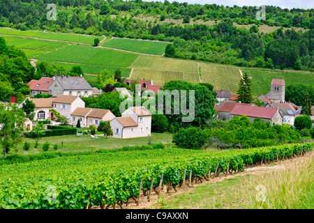 Puligny Montrachet,Borgogna Village,Centro, la Cave du Vin, negozio di vino, caffè,hotels,Montrachet,Grande Cru de Bourgogne,Francia Foto Stock