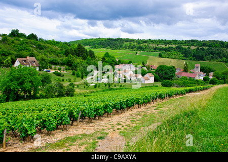 Puligny Montrachet,Borgogna Village,Centro, la Cave du Vin, negozio di vino, caffè,hotels,Montrachet,Grande Cru de Bourgogne,Francia Foto Stock