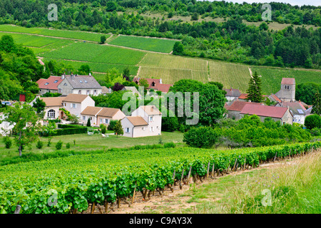 Puligny Montrachet,Borgogna Village,Centro, la Cave du Vin, negozio di vino, caffè,hotels,Montrachet,Grande Cru de Bourgogne,Francia Foto Stock