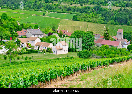 Puligny Montrachet,Borgogna Village,Centro, la Cave du Vin, negozio di vino, caffè,hotels,Montrachet,Grande Cru de Bourgogne,Francia Foto Stock