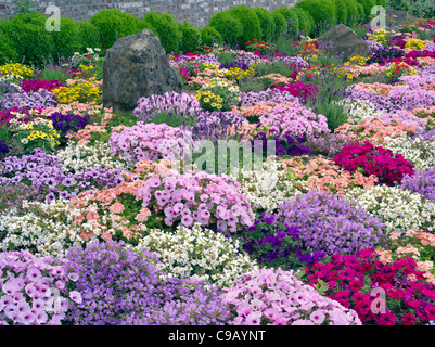 Fiori misti in architettura paesaggistica Al vivaio del, Oregon Foto Stock