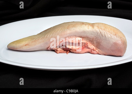 Lingua di bue di manzo crudo su un piatto bianco - un esempio dello strano o strano cibo mangiato dalle persone di tutto il mondo Foto Stock