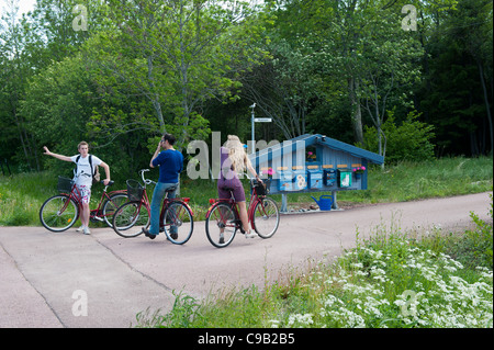 Ciclisti adulti lungo una strada di campagna Åland, MariehamnFinland Foto Stock