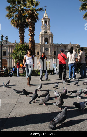 Plaza de Armas e la Cattedrale di Arequipa Foto Stock