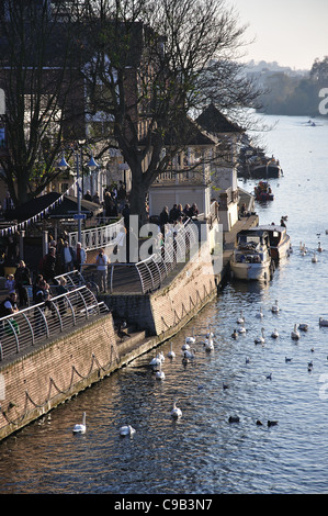 Vista del fiume, Kingston upon Thames, Royal Borough di Kingston upon Thames, Greater London, England, Regno Unito Foto Stock