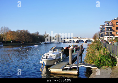 Sulla riva del fiume Tamigi, Kingston upon Thames, Royal Borough di Kingston upon Thames, Greater London, England, Regno Unito Foto Stock