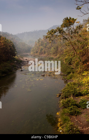 India, Nagaland, Fiume Longkhum passando attraverso le colline boscose in inizio di mattina di sole Foto Stock