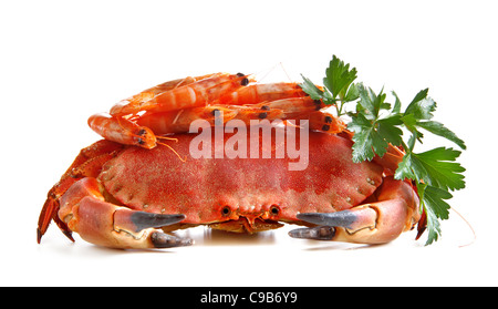 Granchio di mare con gamberetti e prezzemolo su uno sfondo bianco. Foto Stock