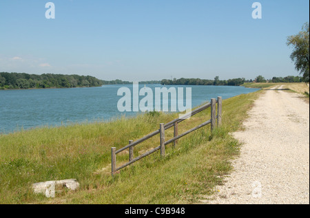 La sezione navigabile della Petite Rhone in Camargue vicino Saint-Gilles, Languedoc-Roussillon, Francia Foto Stock