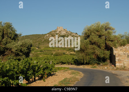 Château d'Aguilar, castello di eagle, roccaforte dei Catari setta, in Corbières montagne vicino Tuchan, Aude Linguadoca Foto Stock