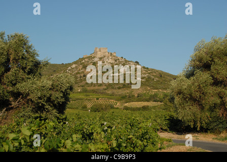 Château d'Aguilar, castello di eagle, roccaforte dei Catari setta, in Corbières montagne vicino Tuchan, Aude Linguadoca Foto Stock