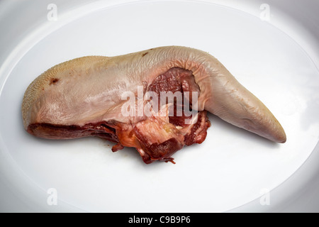 In prossimità delle materie Oxe linguetta carne su una piastra bianca Foto Stock