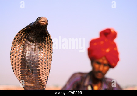 Il serpente incantatore ( India) Foto Stock