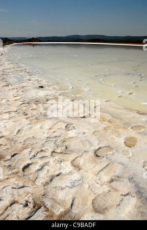 Salt Lake nel Parc naturel régional de la Narbonnaise en Méditerranée nell Aude, Roussillon, Francia Foto Stock