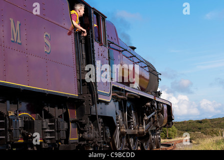 La Principessa Elisabetta sul triangolo Valley Anglesey North Wales UK Foto Stock