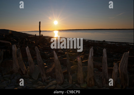 I picchi vengono realizzati in legno non è sicuro di ciò che essi sono stati utilizzati per però. ubicazione vicino a Fort belan gwynedd a Caernarfon Regno Unito Foto Stock