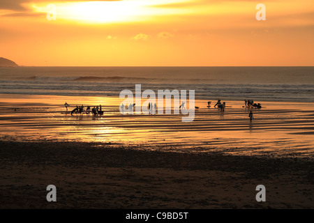 Scuola di surf alla fine della giornata, North Cornwall, England, Regno Unito Foto Stock