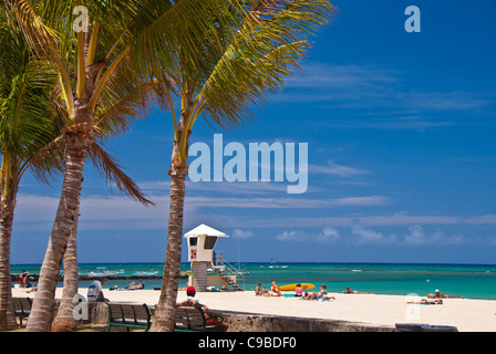 La spiaggia di Waikiki, Hawaii lifeguard stand, lucertole da mare, palme Foto Stock