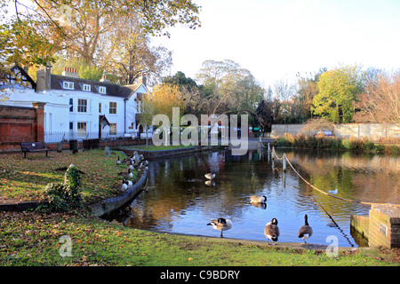 La Ford a Carshalton stagni Sutton Sud Londra Inghilterra REGNO UNITO Foto Stock