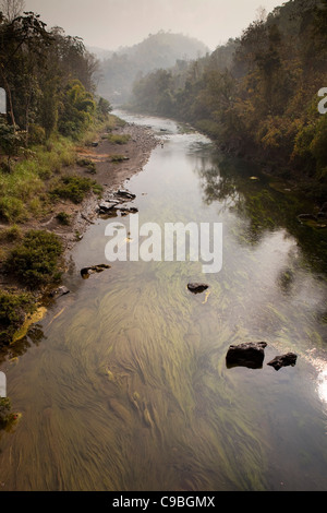 India, Nagaland, Fiume Longkhum passando attraverso le colline boscose in inizio di mattina di sole Foto Stock