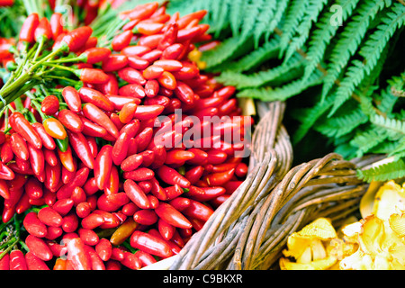 Red Hot Chili Peppers Foto Stock