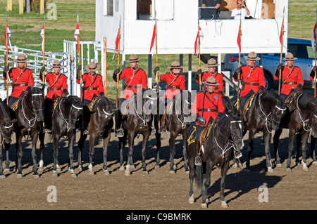 Canada, Alberta, Lethbridge, Royal Canadian polizia montata Musical Ride, RCMP cavalleria in piena abito rosso serge uniforme su cavalli Foto Stock