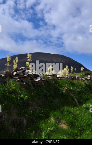 Il Ward Hill, Isola di Hoy, isole Orcadi, Scozia. Foto Stock