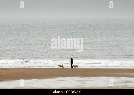 Una donna che cammina i suoi due cani sulla linea di galleggiamento al Caswell Bay vicino a Swansea. Foto Stock