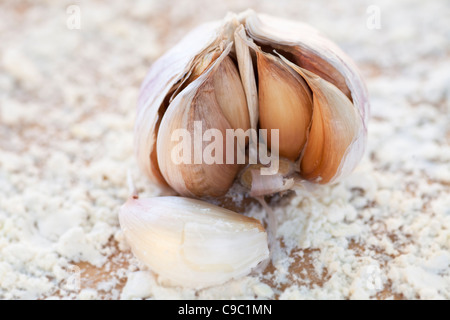 La lampadina di italiani freschi aglio spezzato esponendo il chiodo di garofano. Foto Stock