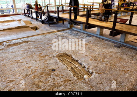 Uno scheletro umano sul display nel suo originale luogo di sepoltura al Palazzo Romano di Fishbourne, vicino a Chichester, West Sussex Foto Stock