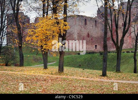 Livonia ordine Castello, è stato costruito nella metà del XV secolo. Bauska, Lettonia. Foto Stock