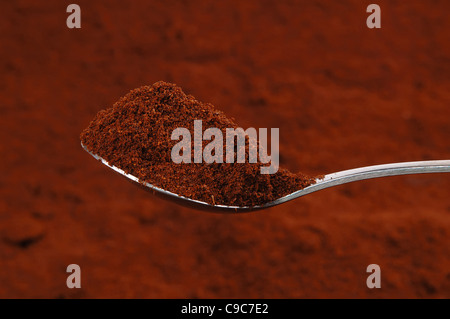 Un cucchiaio di caffè macinato Foto Stock