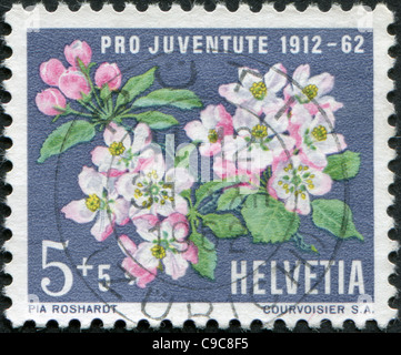 La Svizzera 1962: un timbro stampato in Svizzera, raffigurato fioritura selvatico europeo apple (Malus sylvestris) Foto Stock