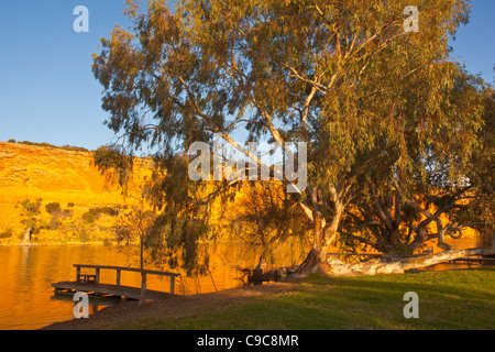 Tardo pomeriggio di sole su un fiume vecchio gomma rossa e il golden a strapiombo sul fiume Murray a Walker appartamento nei pressi di Mannum Foto Stock