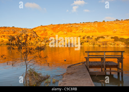 Nel tardo pomeriggio sole sulle scogliere dorate sul fiume Murray a Walker appartamento nei pressi di Mannum Foto Stock