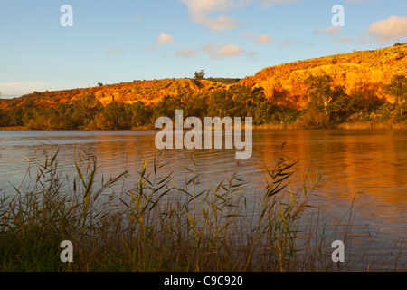 Nel tardo pomeriggio sole sulle scogliere dorate sul fiume Murray a Walker appartamento nei pressi di Mannum Foto Stock