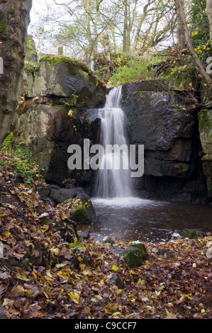 Lumsdale cascata nella valle Lumsdale Peak District Derbyshire con foglie di autunno Foto Stock