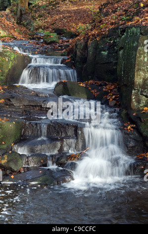 Lumsdale cascata nella valle Lumsdale Peak District Derbyshire con foglie di autunno Foto Stock