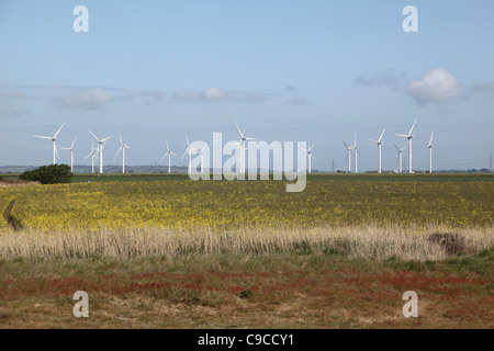 Vista di un vento onshore casale circondato da terreni agricoli a Romney Marsh, Kent, Regno Unito Foto Stock