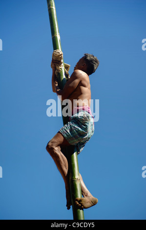 India, Asia del Sud, Nagaland, Naga Warrior feat tribali dell'uomo climbing palo di bambù. Foto Stock